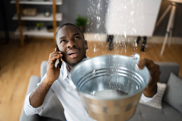 Best Water damage mitigation services  in East Troy, WI
