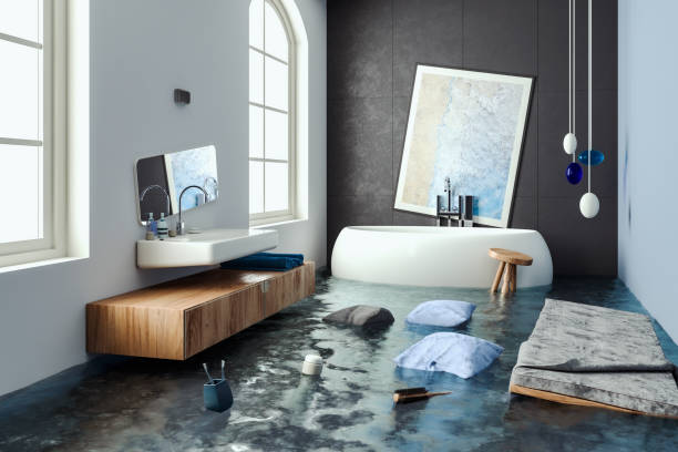 Best Local water damage restoration  in East Troy, WI