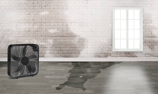 Best Water damage restoration near me  in East Troy, WI