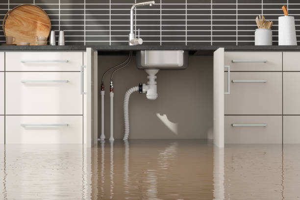 Professional Water damage restoration in East Troy, WI