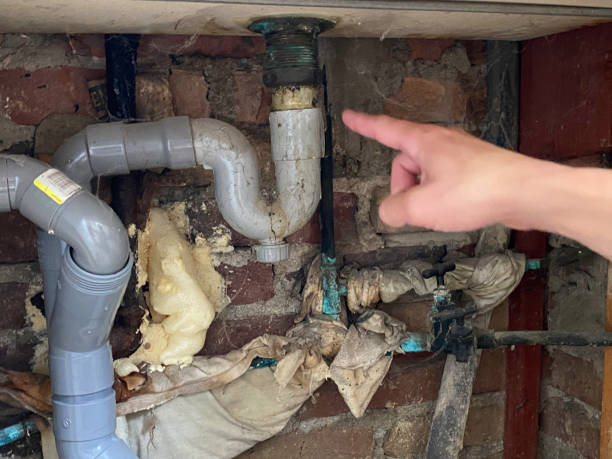 Best Water damage restoration process  in East Troy, WI
